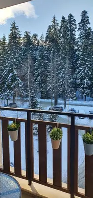 a balcony with two potted plants and a snowy yard at Borovets Cozy Mountain Apartments in Borovets