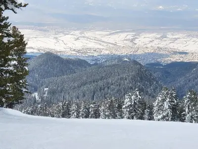 a view of a snow covered mountain with trees at Spacious and Cosy Apartment in Bansko Royal Towers Complex in Bansko