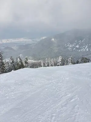 a snow covered slope with trees on a mountain at Spacious and Cosy Apartment in Bansko Royal Towers Complex in Bansko