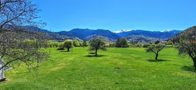 a green field with trees and mountains in the background at Villa Nikol Apt #1 in Raduil