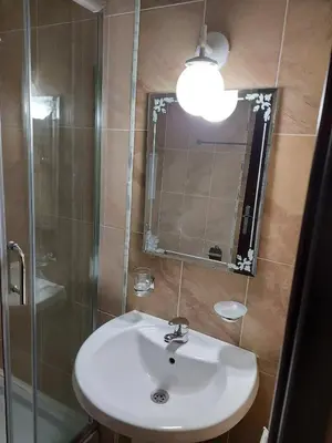 a bathroom with a sink and a shower and a mirror at Studio GERONIMO in Pamporovo