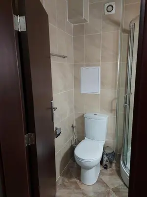 a bathroom with a toilet and a shower at Studio GERONIMO in Pamporovo