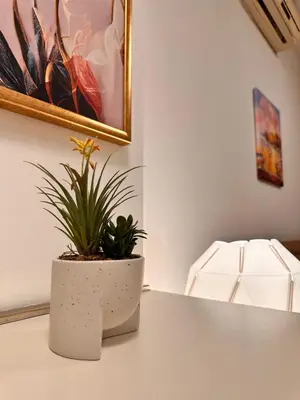 a potted plant sitting on top of a table at Private Studio Center Opera and Nevski Cathedral in Sofia