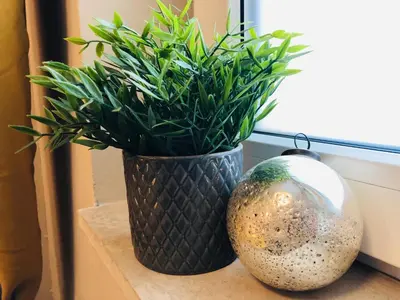a black vase with a plant on a window sill at Private Studio Center Opera and Nevski Cathedral in Sofia