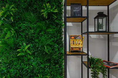 a green wall with plants on a shelf at Гардън Апарт in Blagoevgrad