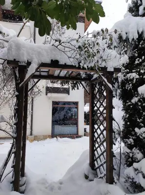 a gazebo covered in snow in a yard at Hotel FAMIL - adults only in Bansko
