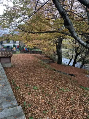 a path full of leaves in a park with trees at Балкан вили in Ribarica