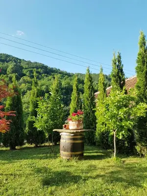 a barrel with a flower pot in the grass at Family Hotel Chiflik Hills in Chiflik
