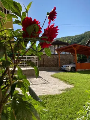 a bush with red flowers in a yard at Villa Rosa in Krayni Dol