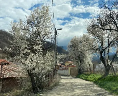 a dirt road with trees and a fence at Villa Rosa in Krayni Dol
