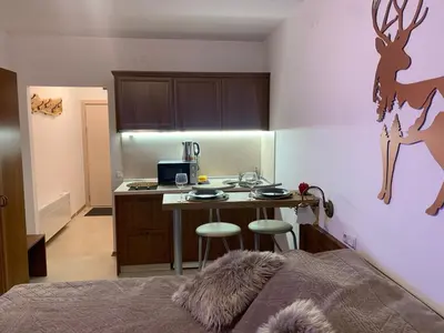 a bedroom with a bed and a kitchen with a deer on the wall at Bansko Ski To Door Studio De Luxe in Bansko