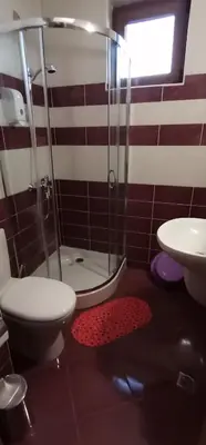 a bathroom with a shower and a toilet and a sink at Grand Monastery Pamporovo Apartment for rent in Pamporovo