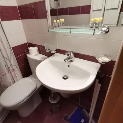 a bathroom with a white sink and a toilet at Grand Monastery Pamporovo Apartment for rent in Pamporovo