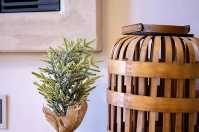 a christmas tree in a basket next to a plant at Studio 9, St John Park in Bansko