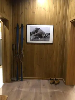 a wall with skis and a picture on the wall at MAGNET - private chalet in Razlog