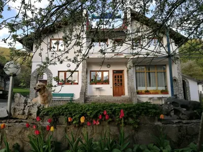 a dog sitting in front of a white house at Самостоятелни стаи в къща за гости Балкан in Ribarica