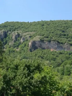 a view of a mountain with trees and rocks at Самостоятелни стаи в къща за гости Балкан in Ribarica