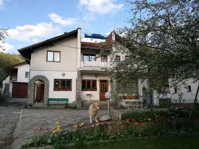 a dog standing in front of a house at Самостоятелни стаи в къща за гости Балкан in Ribarica