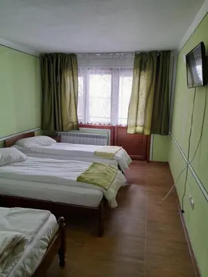 a bedroom with two beds and a window at Къща Ради in Koprivshtitsa