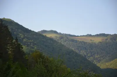 a view of auliculiculiculiculiculiculiculiculiculiculiculic at Вила Даяна in Ribarica