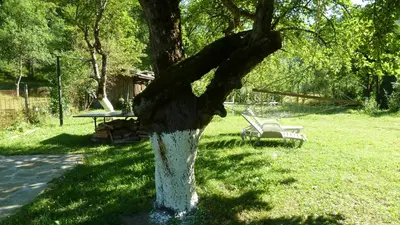 a statue of a cross on a tree in a yard at Вила Даяна in Ribarica