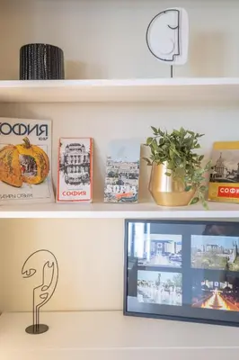 a shelf with a tv and a plant on it at Sunrise 1BDRM View Apartment NDK Congress Centre in Sofia