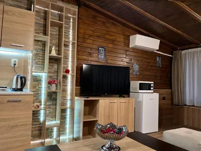 a living room with a flat screen tv on a wooden wall at Georgievi Apartments Sandanski in Sandanski