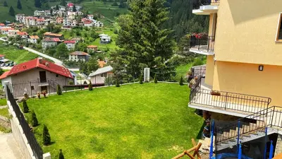 an aerial view of a green yard in a city at House Proctor in Stoykite