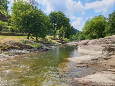 a river with rocks and trees on the side at Guest House Fedor in Ribarica