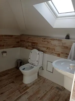a bathroom with a toilet and a sink at Къща за гости-Ганеви in Zmeitsa