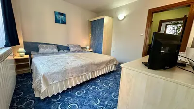 a bedroom with a bed and a flat screen tv at Kaloyanova House Bansko in Bansko