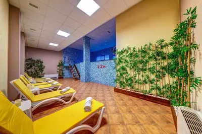 a waiting room with yellow tables and plants on the walls at Boho Mountain Studio in Smolyan