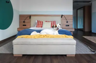 a dog laying on a bed in a bedroom at WorkNomads LAB Hotel in Sofia