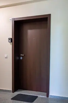 a brown door in a room with a wall at Modern and Spacious apartments in the City Centre in Sofia