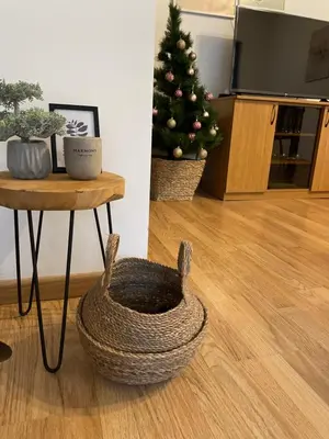 a living room with a christmas tree and a basket at Private Apartment Laplandia 77 (Pamporovo, Bulgaria) in Pamporovo