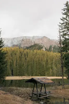 a picnic table in the middle of a forest at Black Box Studio in Smolyan