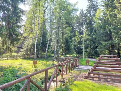 a wooden bridge in a field with trees at KLEPALSKI - Mountain Studio in Borovets