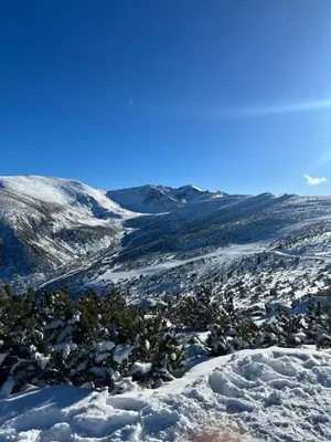 a snow covered mountain with trees in the foreground at Advel Guest House in Madzhare