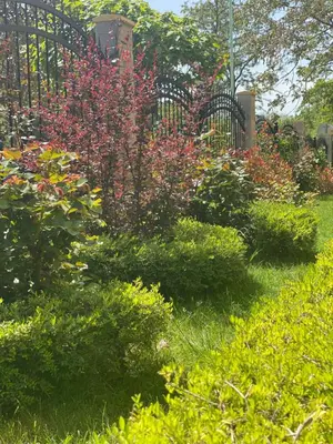 a garden with colorful flowers and a fence at Green park Sandanski in Sandanski