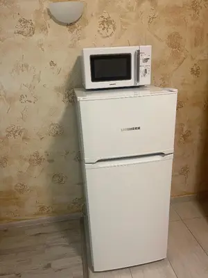 a microwave sitting on top of a refrigerator at Colonel apartment 958 in Sofia