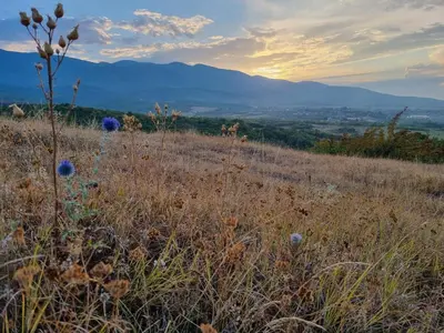 a field of tall grass with mountains in the background at Walnut Cottage 1 in Deredzhik-Kʼoy