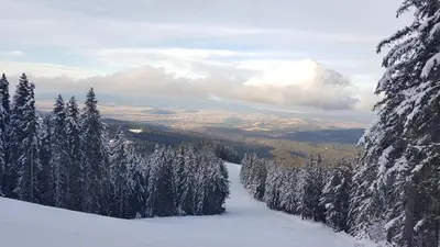 a view of a snow covered mountain with trees at Borovets Hills Apartments - Studio 33 in Borovets