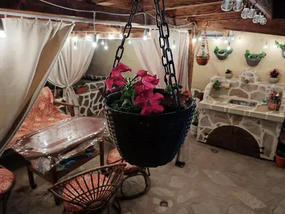 a hanging basket with red flowers in a living room at Делоре in Sarnitsa