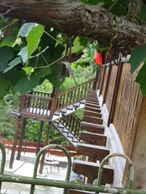 a set of stairs leading up to a tree at Недкова къща in Koprivshtitsa