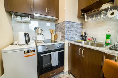 a small kitchen with a stove and a sink at Vitosha View Apartment with Parking in Sofia
