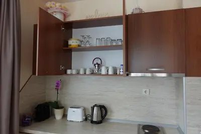 a kitchen with wooden cabinets and a counter top at GO GO Holiday in Borovets