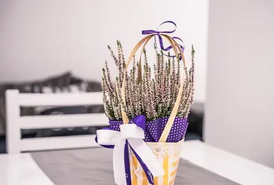 a vase filled with purple flowers with a bow at The moon in Sandanski