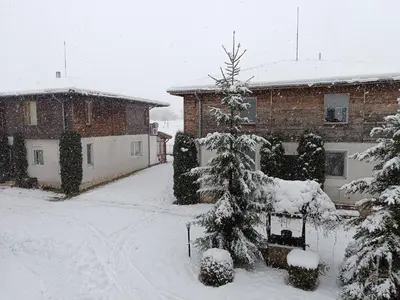 a snow covered yard with a house and a tree at Вила Ибър село Радуил in Raduil