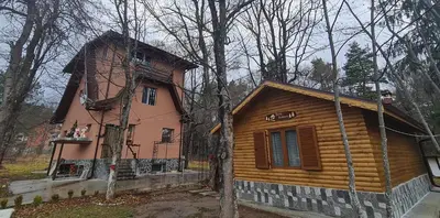 a small wooden house in the middle of a forest at Вила Вайлин in Batak
