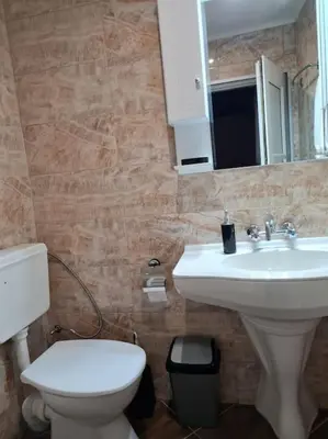 a bathroom with a white toilet and a sink at Вила Вайлин in Batak